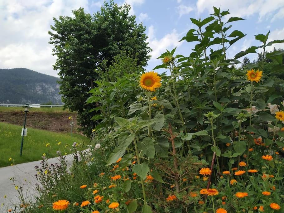 Upcycling Appartement Fischl - Nachhaltig Und Kreativ Wohnen Fuer Gross Und Klein Jenbach Kültér fotó